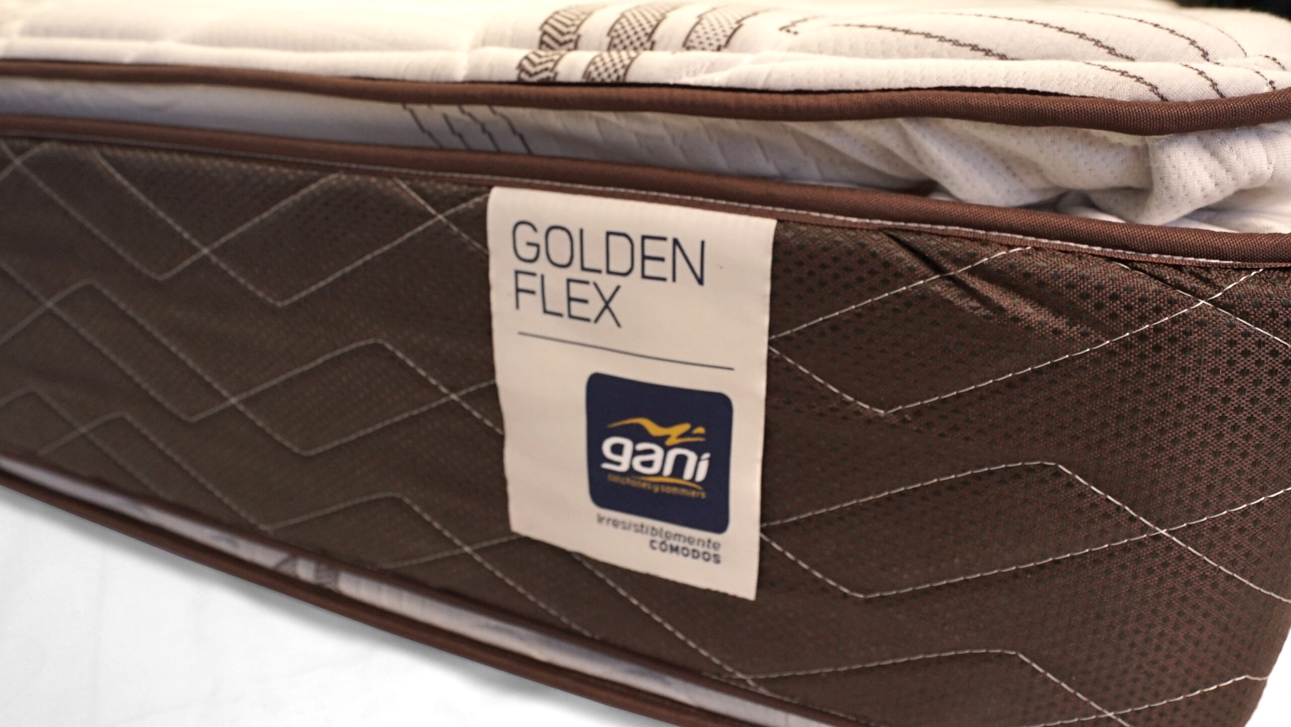 DETALLE GOLDEN FLEX 2